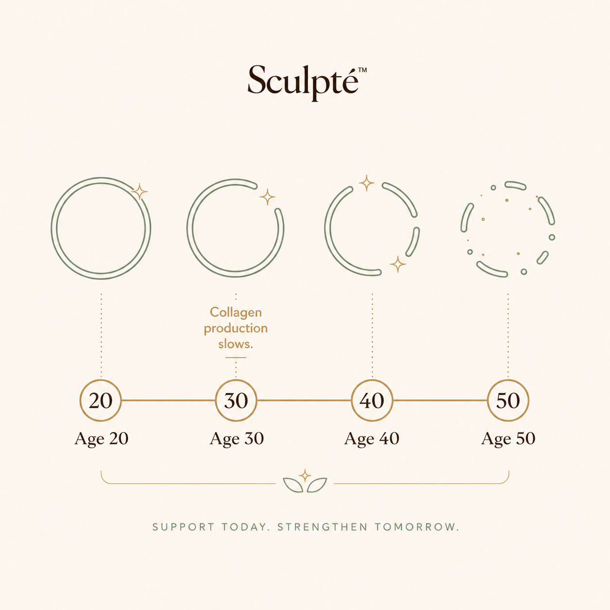 Collagen production decline with age
